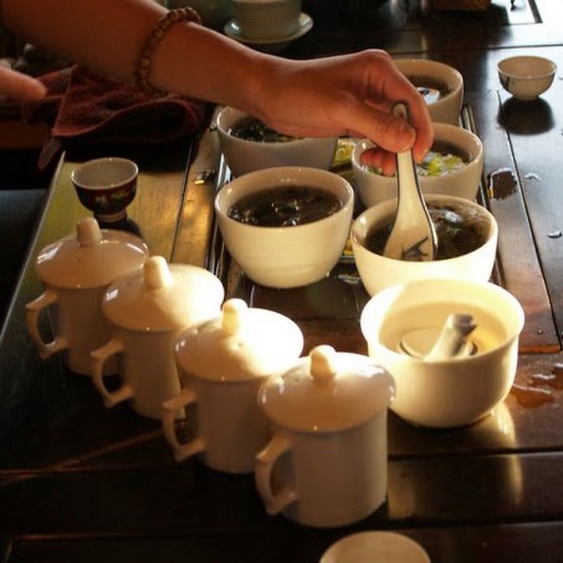 Floating Leaves Tea